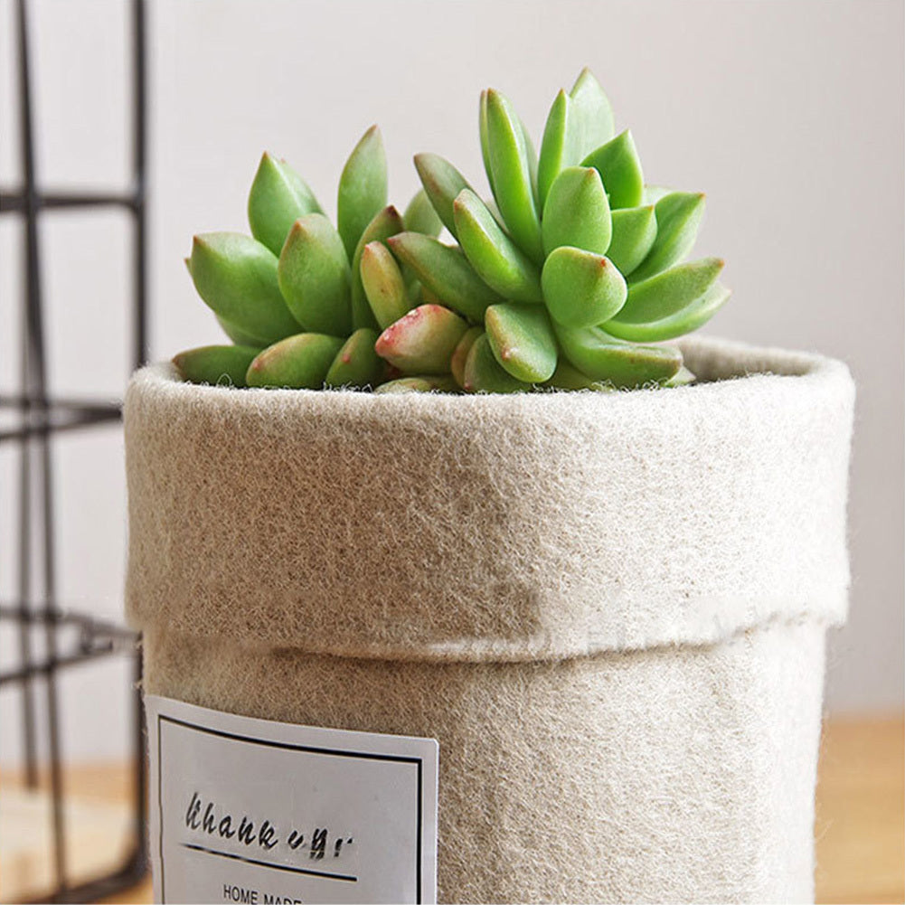 Flower Basket greenroot living