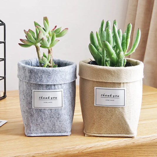 Flower Basket greenroot living