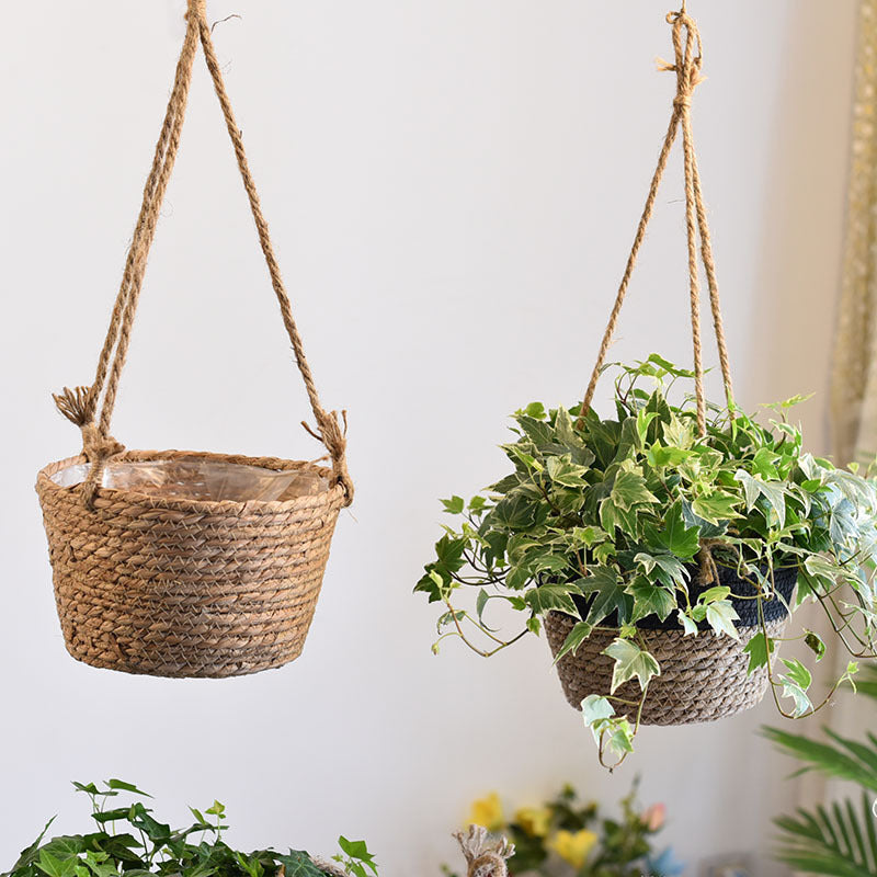 Straw Hanging Baskets, Flower Baskets, Woven Flower Pots, Rattan Baskets, Chlorophytum Potted Plants, Flower Baskets, Flower Pots, Bamboo Baskets, Flower Baskets greenroot living