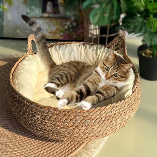 Natural Woven Cat Bed With Soft Cushion, Handmade Braided Cattail Leaf Pet House, Eco-Friendly Straw Nest greenroot living